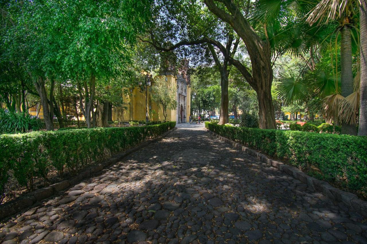 Apartamento Fl 59 Coyoacan At Your Doorstep! México DF Exterior foto